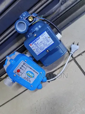 Pedrollo Water Pump Pkm60