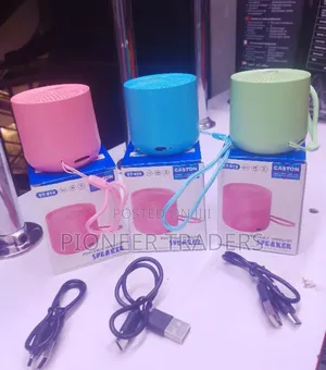 St-919 Caston Portable Speaker