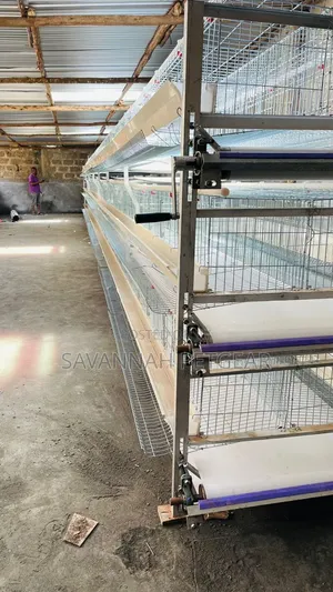H-Type Layer Chicken Cage System Durable,Galvanized Wire for 96 Layers