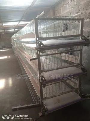 H-Type Layer Chicken Cage System Durable,Galvanized Wire for 96 Layers