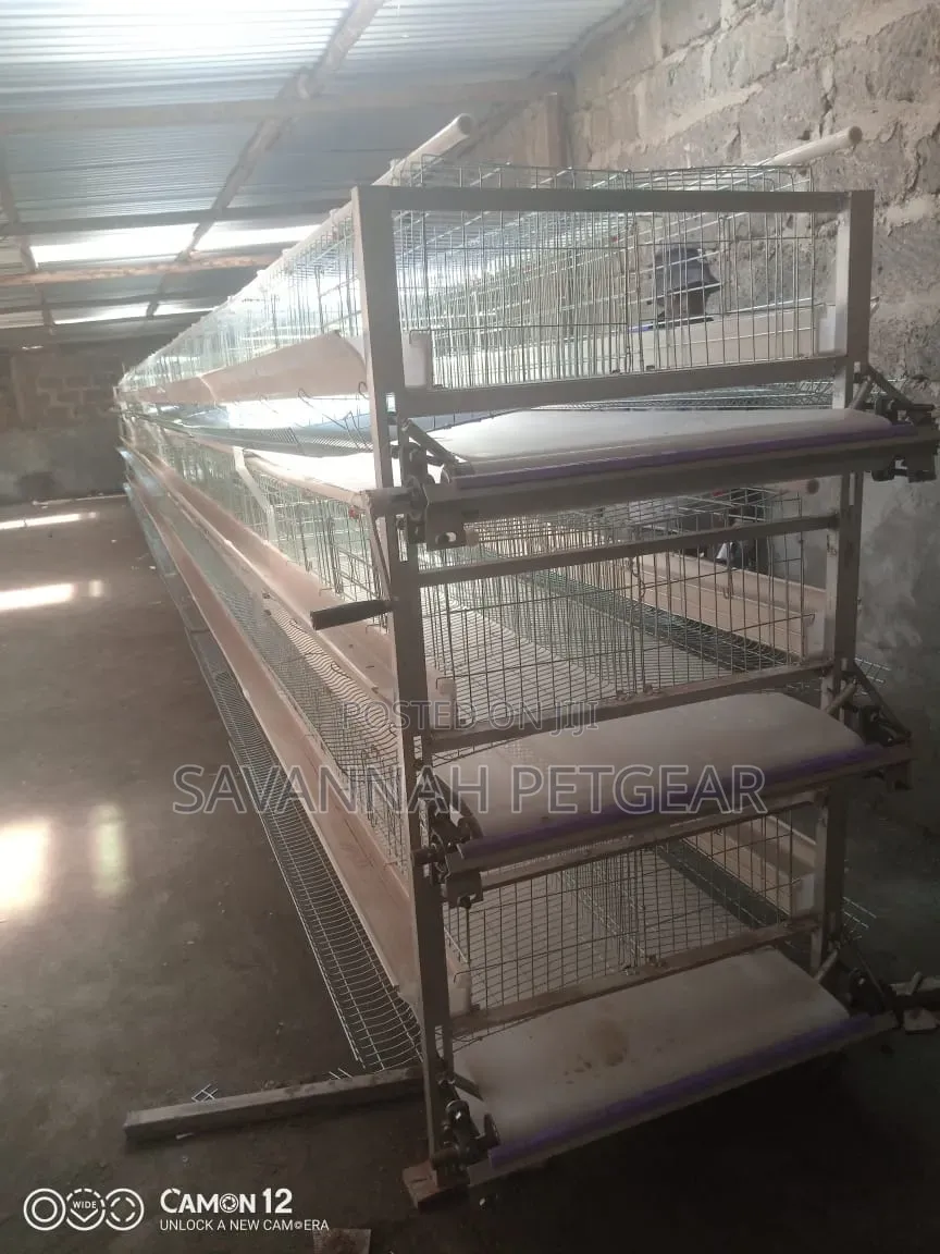 H-Type Layer Chicken Cage System Durable,Galvanized Wire for 96 Layers