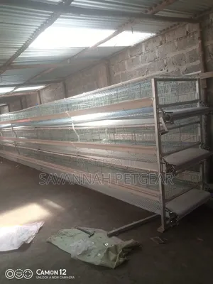 H-Type Layer Chicken Cage System Durable,Galvanized Wire for 96 Layers