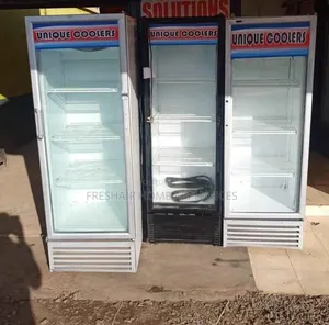 Elegant Best Display Fridge 300litres