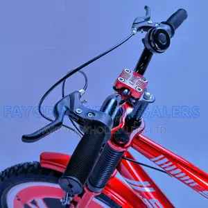 Swing 20-Inch Mountain Style Bike – Strong Frame