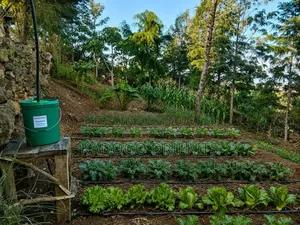 Bucket Drip Irrigation Kit