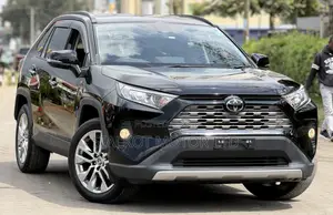 Toyota RAV4 LE AWD 2019 Black
