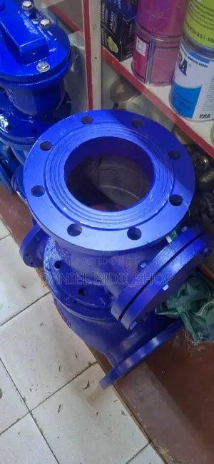 Carpe Diem 6inch Non Return Valve Dn18
