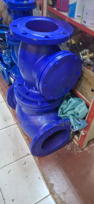 Carpe Diem 6inch Non Return Valve Dn18