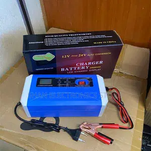 Deep-Cycle, Wet and Dry Batteries 12v 24v Battery Charger 10a