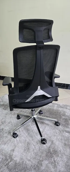Ergonomic Office Chair