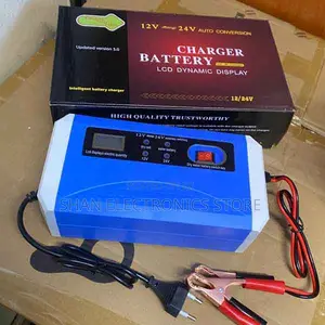 Simple Plug-and-Charge12v 24v 10a Smart Battery Charger 3 Stage