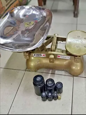 Accurate Zinc Manual Weighing Scale 15kgs