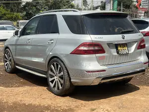 Mercedes-Benz M Class 2015 Silver