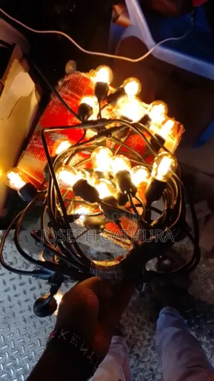 20m 30 Bulbs Electric String Lights