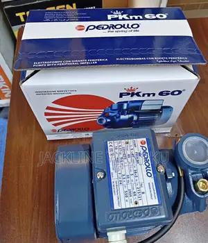 Pedrollo Booster Pump 0 5 Hp /Original Pedrollo 60 Water Pump Italy