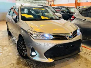 Toyota Corolla Fielder 2019 Gray
