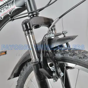 Sport Zx-007 Mountain Bike – Perfect For Young Riders