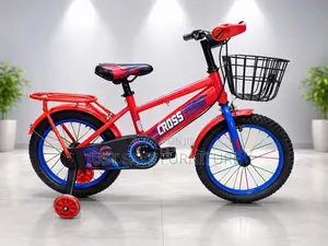 Crossroad Kids Bicycle Size 16 – Basket, Carrier Training Wheels