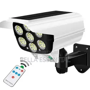 Solar Motion Sensor Light
