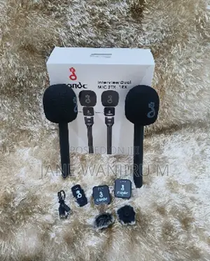 Rechargeable Wireless Lapel Mic System (New)