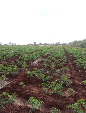 200 Acres on Sale at Macakos-Masinga