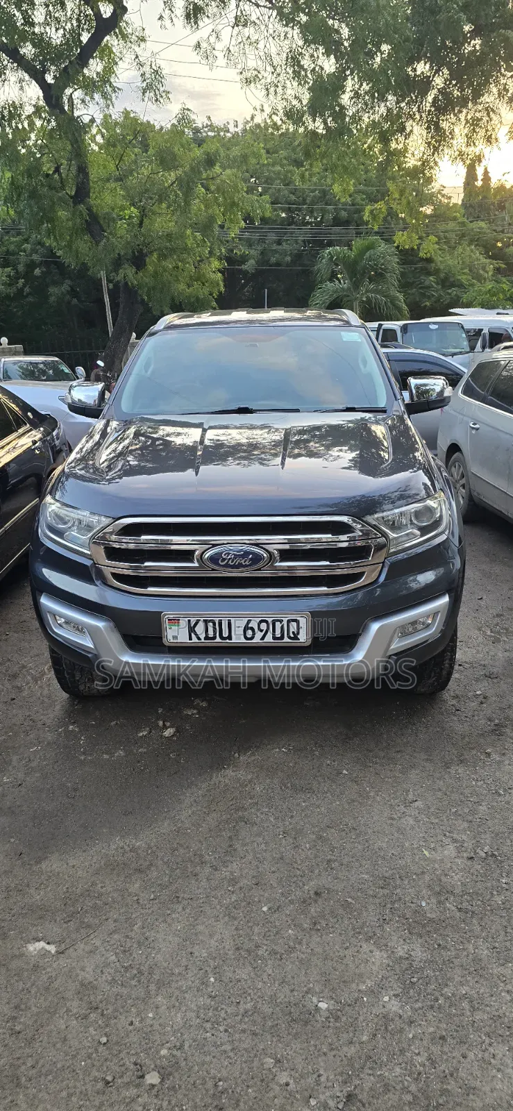 Ford Everest 2019 Gray