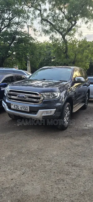 Ford Everest 2019 Gray