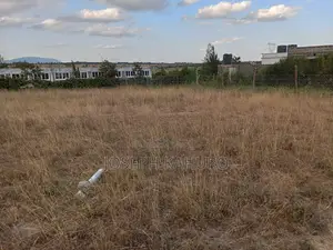 40x80 Plot for Sale at Malaa - Ready Title Deed