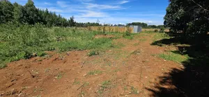 Prime Plots for Sale in Annex Bethel Eldoret