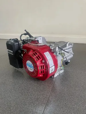 Electric Hoist 500kg