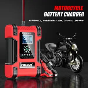 Automobile/Motorcycle Universal Battery Charger