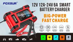 12v/24v Auto-Voltage Battery Charger