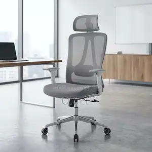 Office Chair : Ergonomic Mesh Chair