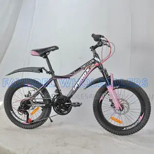Unirox Junior Mountain Bike With Gears