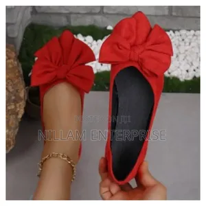 Flat Elegant Shoes