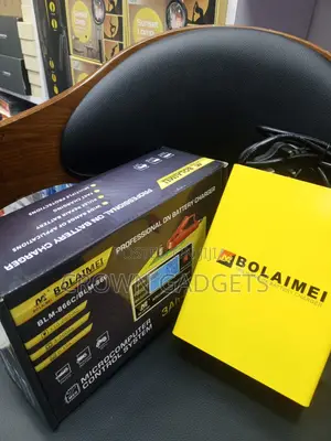 Bolaimei BLM-866 Smart 12v 24v Battery Charger Pulse Repair