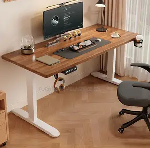 Ergonomic Electric Standing Desk