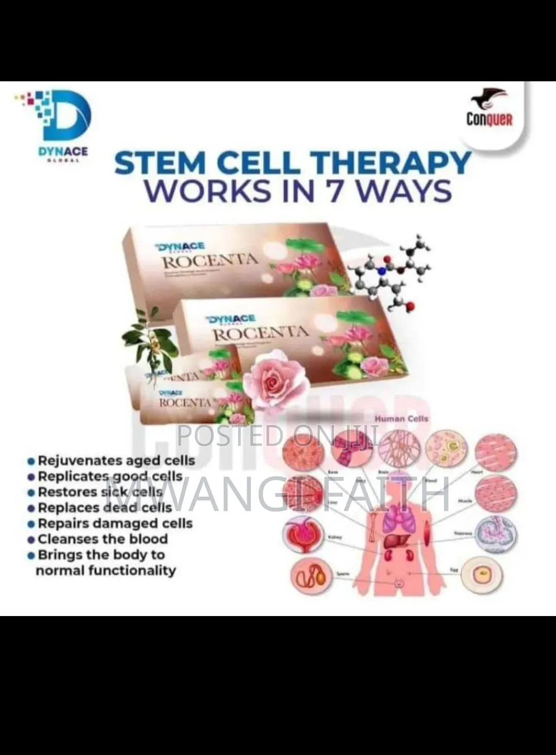 Rocenta Stem Cell