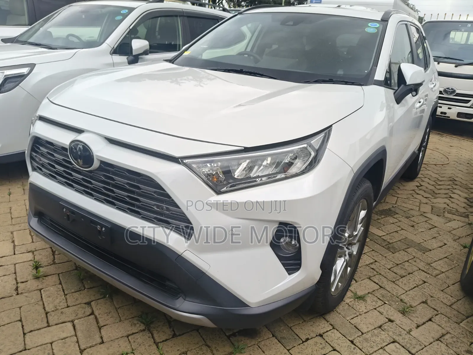 Toyota RAV4 Limited AWD 2019 White