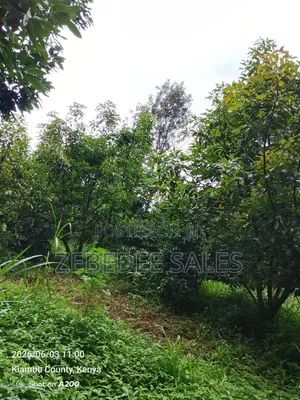Land for Sale Joska Malaa Price 4.5m an Acre