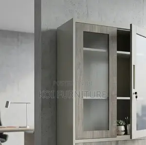 Office Cabinet; Two Doors Prestige Office Cabinets
