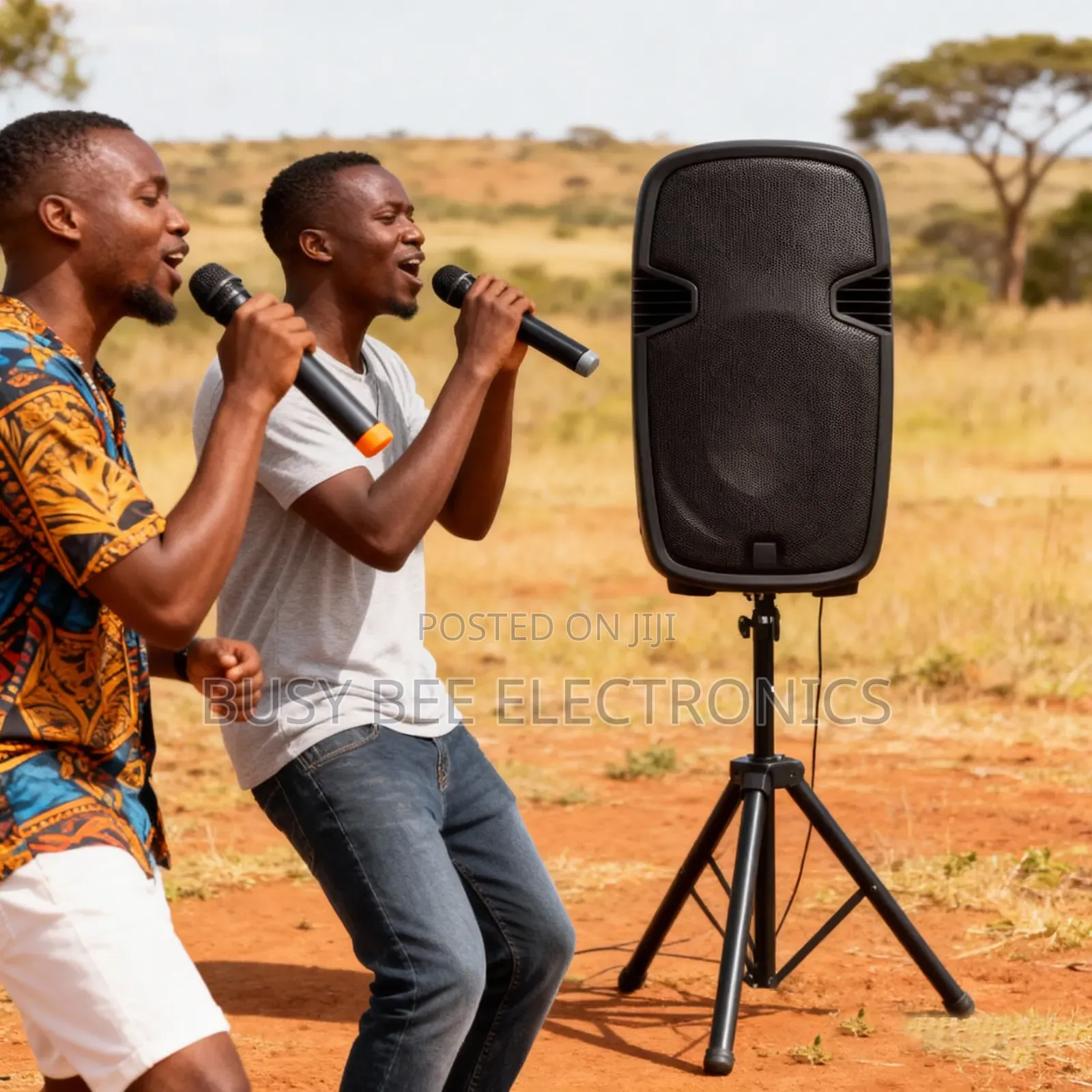 Aone 15" Box Powered Box Speakers