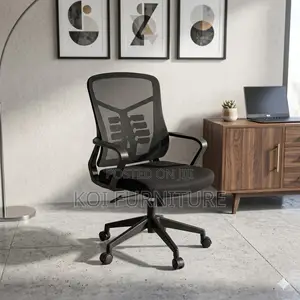 Office Chairs; Advanced Ergonomic Office Mid Back Chair