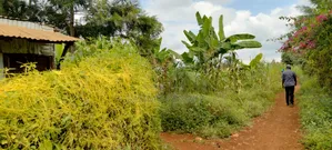 Prime 50 × 100 Plot on Sale in Kirinyaga Nyangati