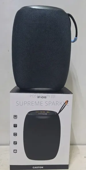 Caston St-C65 Mini Portable Wireless Speaker.