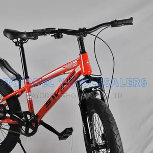 Swing 20" Adventure Bike With Disc Brakes