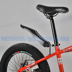 Swing 20" Adventure Bike With Disc Brakes