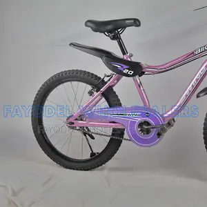 Swing Fat Tire Bicycle for Girls