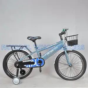 Golden Bike Size 20 With Basket Training Wheels