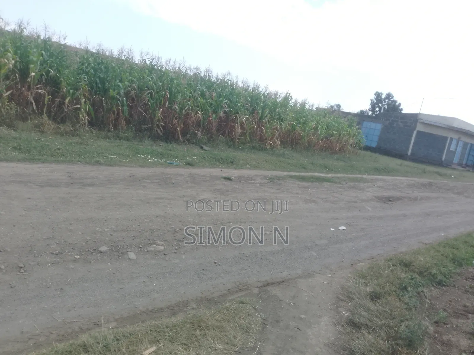 Quick Plot for Sale
